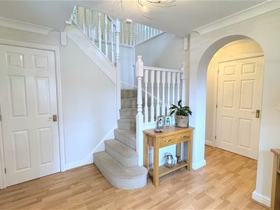 Picture 5